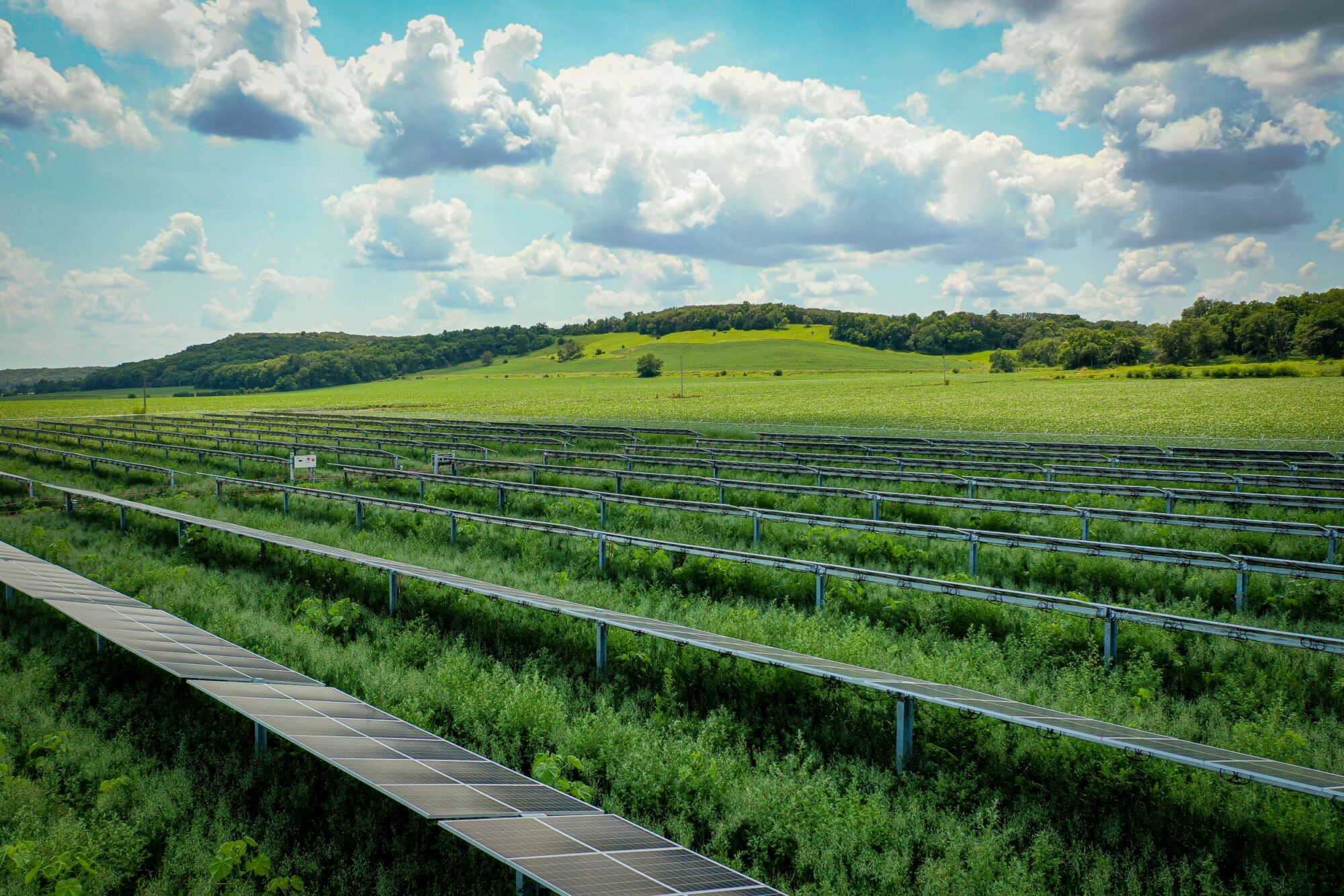 resized Tekamah Solar Field-0669