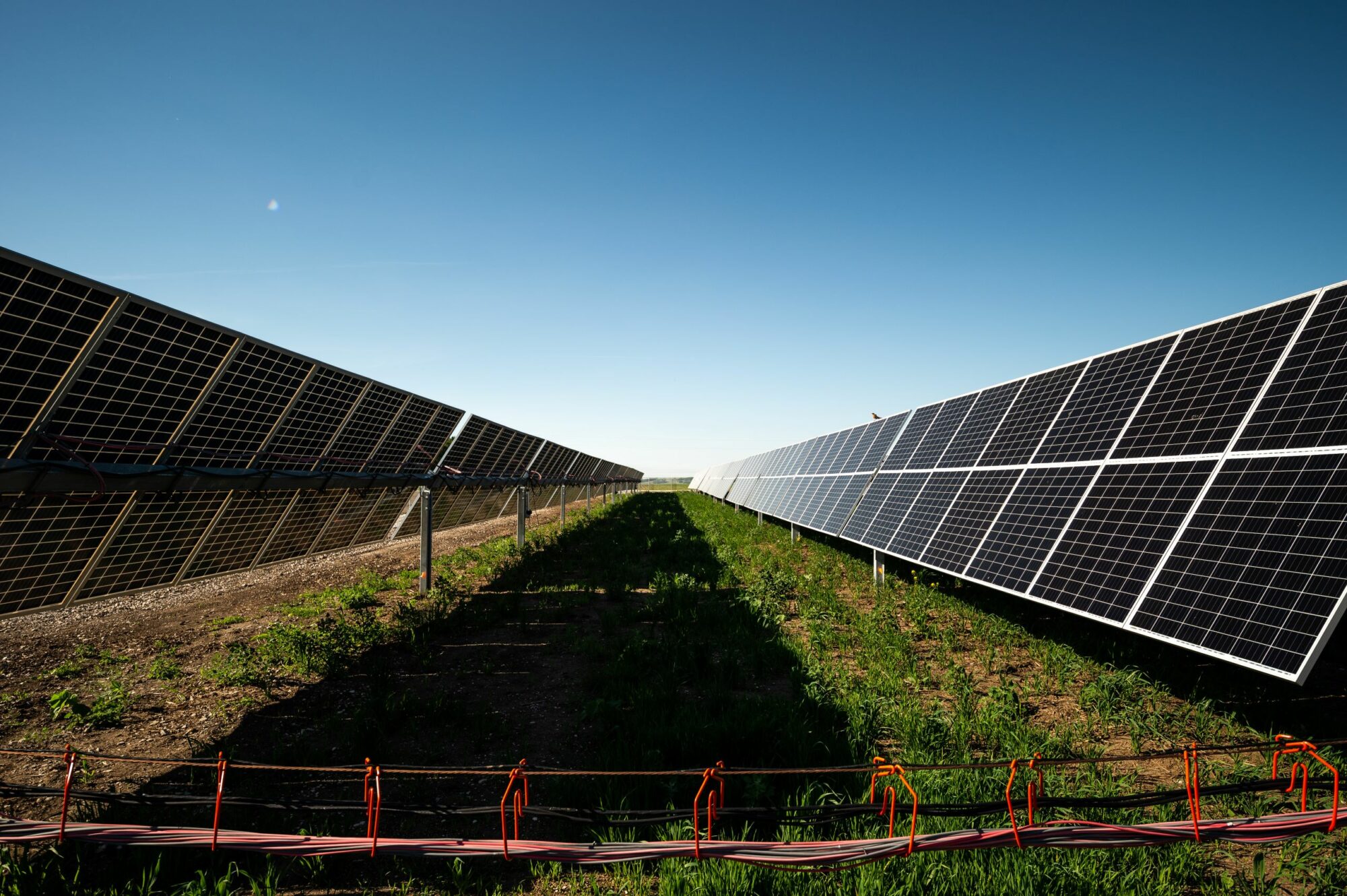 Ground-mounted bifacial solar panels